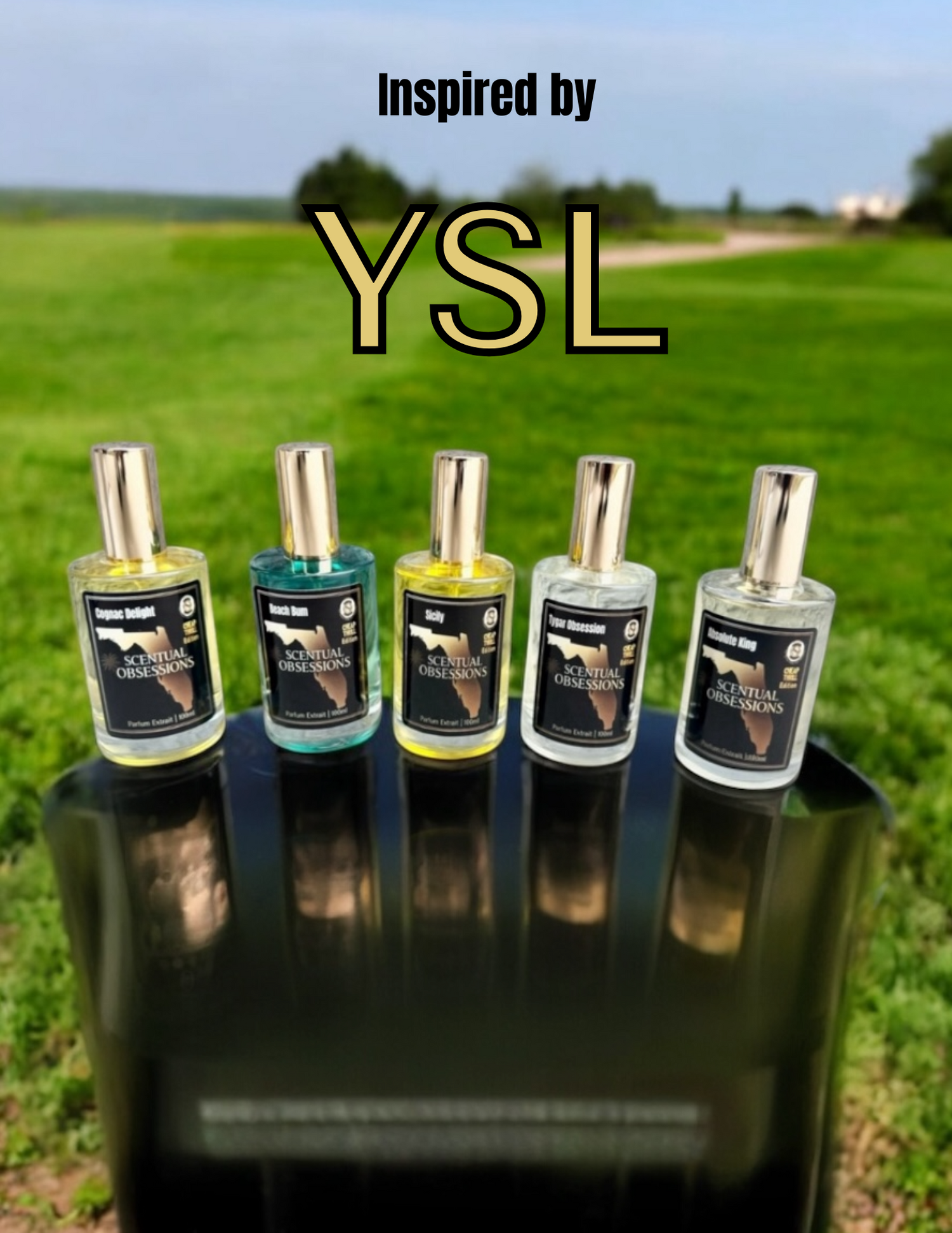 YSL Cheap Thrill Edition Inspirations