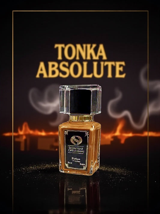 Tonka Absolute (New Wave)– Inspired by A*Men Pure Tonka