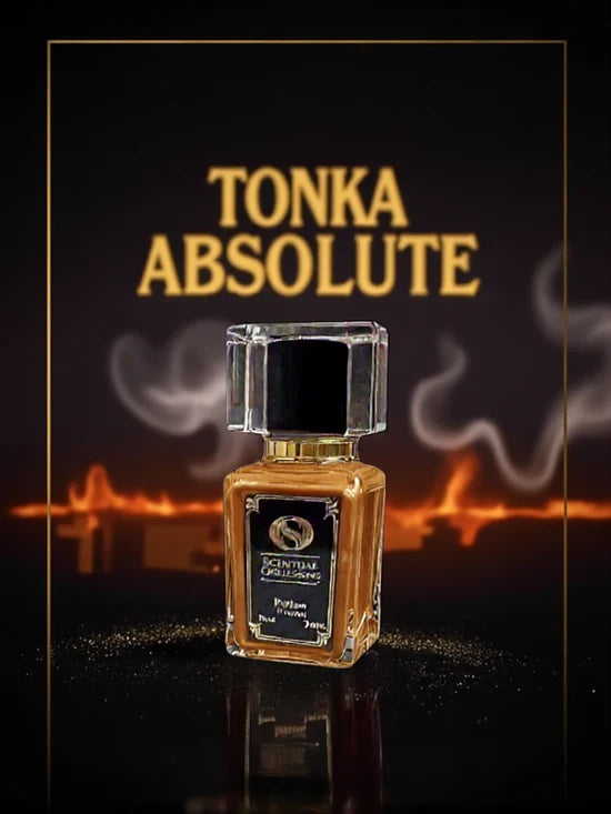 Tonka Absolute Inspired by Pure Tonka