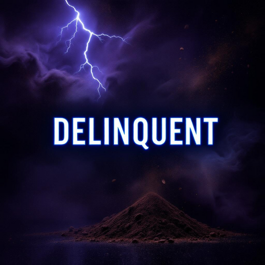 Delinquent Inspired by Bad Boy