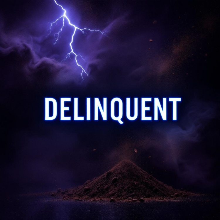 Delinquent Inspired by Bad Boy