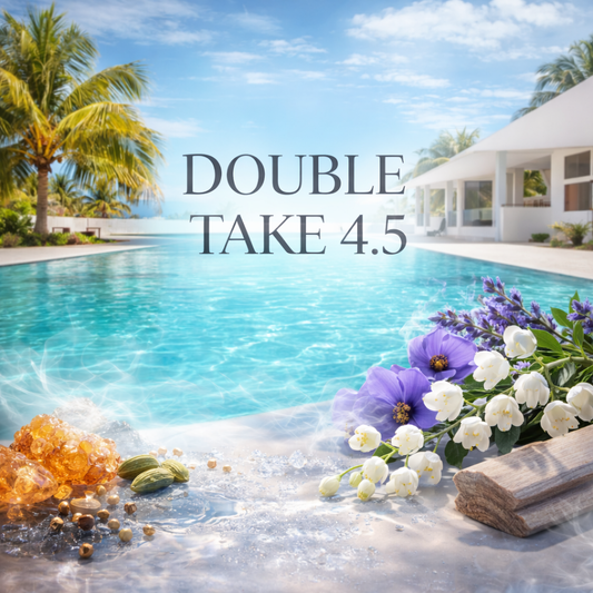 Double Take 4.5 Inspired by Reflection 45 Man